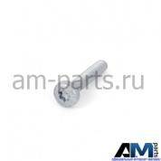 Саморез с внутренним torx для автомобилей концерна VAG N10156206