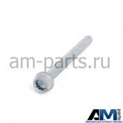 Болт с внутренним torx для автомобилей концерна VAG N91050601