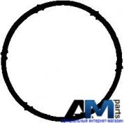 Прокладка впускного коллектора Фольксваген Гольф 6 1.6 (102 л.с.) 713420300 REINZ