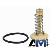 Термостат системы охлаждения для автомобилей концерна VAG 03C121110A