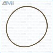 Прокладка дросселя AJUSA (24023000) для Volkswagen B6 (2005-2011) 2.0TSI