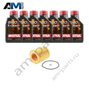 Комплект для промежуточного ТО БМВ 3 серии M3 с маслом Motul S55