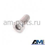 Болт с внутренним torx на Audi WHT003682