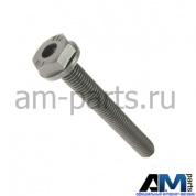 Винт с 6-гр.головкой буртиком и внутр. для автомобилей концерна VAG WHT008383
