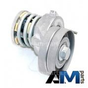 Натяжитель ремня генератора INA на Поло Седан 534006510