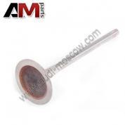 Впускной клапан MAHLE/KNECHT (029VE31236000) на Volkswagen Tiguan I (2007-2011) 2.0TSI 170 л.с.