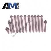 Комплект болтов ГБЦ 11127560274 на BMW (F20) 118i