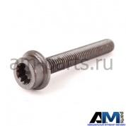 Болт с внутренним torx для автомобилей концерна VAG N10544904