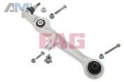Несущий рычаг (821034810) FAG на Audi A4 (B7) 2005-2009