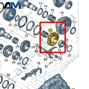 Свободно вращающаяся шестерня VAG 0A5311261AM