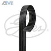 Поликлиновый ремень генератора (GATES) 7DPK1880 для BMW X6 (E71) 2007-2014 30dX N57