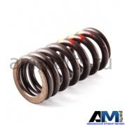 Пружина клапана для автомобилей концерна VAG 06E109623A