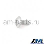 Винт с плоской головкой и внутренним TORX для автомобилей концерна VAG N10741402