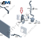 Шланг от радиатора в ареке слева на помпу на Mercedes W205 AMG C63 (M177) A2055019482