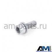 Болт для автомобилей концерна VAG N10627801