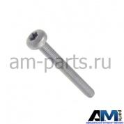 Винт с цилиндрической. внутренним TORX для автомобилей концерна VAG N10670301