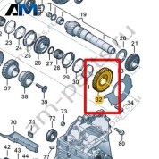 Свободно вращающаяся шестерня VAG 0C9311261AC