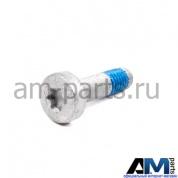 Болт с плоской головкой для автомобилей концерна VAG N10700202