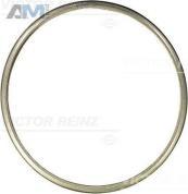 Прокладка выпускного коллектора (VICTOR REINZ) 714132900 для BMW X6 (E71) 2007-2014 30dX N57