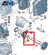 Стопорное кольцо VAG 0BZ311152