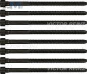 Комплект болтов головки блока VICTOR REINZ (143219801) для Audi A6 (С6) 2004-2011 3.2FSI