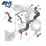 Шланг от радиатора к термостату BMW 5 серии (G30) 2017-2023 520i (B48C) 17128572905