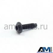 Винт с цилиндрической.внутренним TORX для автомобилей концерна VAG N10594402
