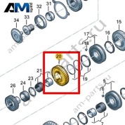 Шестерня VAG 0HL311260B