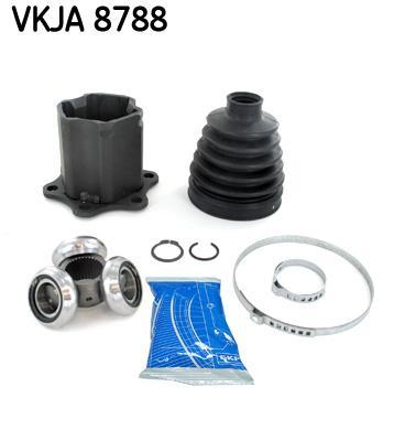 SKF.jpg