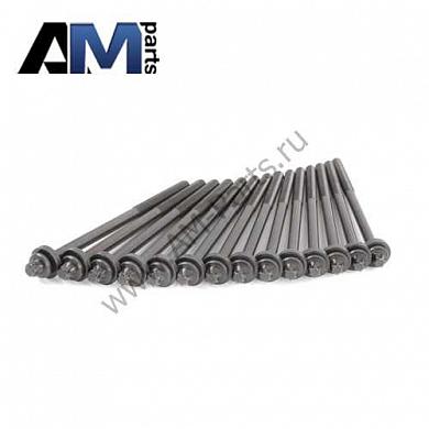 Комплект болтов ГБЦ 11127798532 на BMW X6 (E71) 30dX M57N2