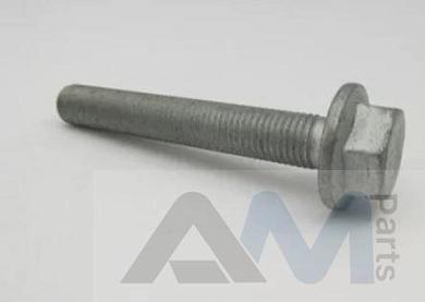 Болты крепления опоры подрамника (центр) на Volkswagen Tiguan II (2016-2020) N10784701