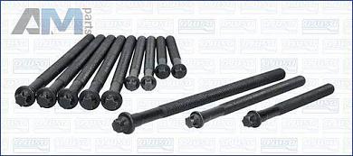 Комплект болтов ГБЦ (AJUSA) 81044900 для BMW X3 E83 2006-2010 2.0i