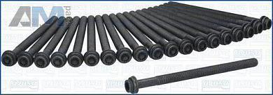 Комплект болтов головки блока AJUSA (81068800) для Audi A6 (С7) 3.0TDI 2015-2018