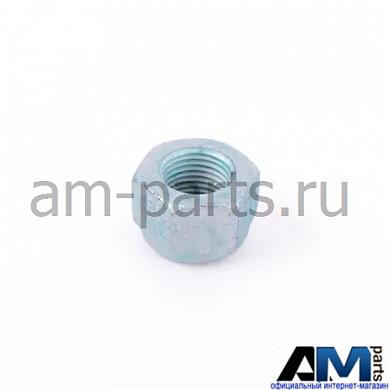 Гайка шестигранная самоконтрящаяся для автомобилей концерна VAG N10304102Купить оригинальную гайку шестигранную самоконтр. для Ауди, Фольксваген, Шкода N10304102- Запчасти от дилера