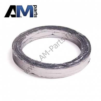 Уплотнительное кольцо выпускного коллектора 11627558906 на BMW X6 (E71) 35iX N54