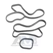 Прокладка масляного радиатора 11428591462 на BMW (F25) B47