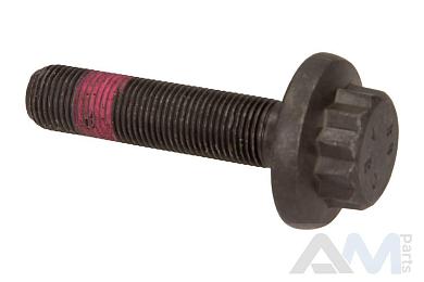 Центральный болт ступицы Volkswagen Tiguan II рестайлинг WHT005437