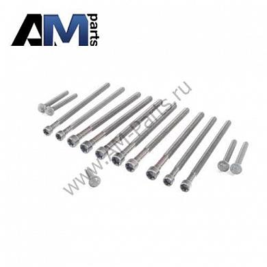 Комплект болтов ГБЦ Reinz для БМВ 1 серия F20 14-10010-01