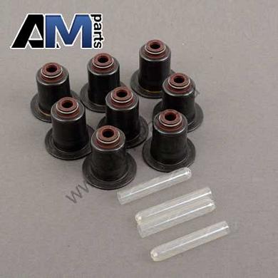 Маслосъемные колпачки (рем.комплект) 11340038719 на BMW (F10) 528i N20