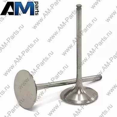 Клапан выпускной для автомобилей концерна VAG 03C109611RЗаказать оригинальный клапан выпускной для Ауди-Фольксваген-Шкода 03C109611R- Заказать и сэкономить