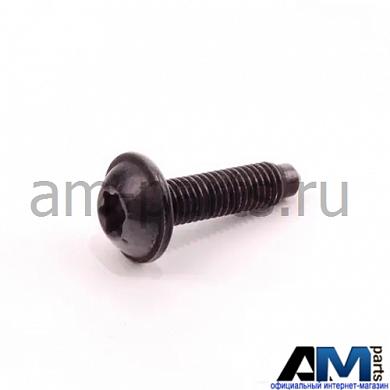 Саморез с внутренним torx для автомобилей концерна VAG N10684701Заказать оригинальную саморез с внутренний torx для Ауди-Фольксваген-Шкода N10684701- Доставка в регионы РФ