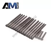 Комплект болтов ГБЦ (VICTOR REINZ) 141042701 для BMW X5 (E70) 2006-2013 40iX