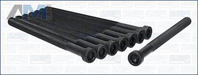 Комплект болтов головки блока AJUSA (81051100) для Audi A6 (С6) 2004-2011 2,7 CANA/CANB