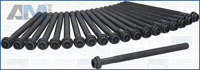 Комплект болтов головки блока AJUSA (81068800) Audi Q5 (8R) 3.0TDI (2011-2017)