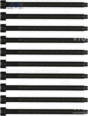 Болт головки цилиндра VICTOR REINZ (143212101) для Audi A4 (B7) 2005-2009 1.9Diesel