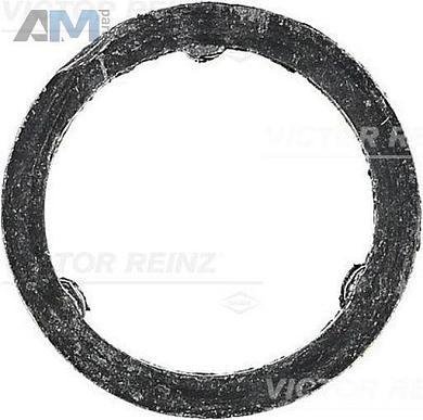 Уплотнительное кольцо выпускного коллектора (VICTOR REINZ) 711012900 для BMW X5 (F15) 2013-2018 35iX