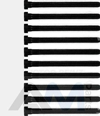 Болты ГБЦ VICTOR REINZ (14-32299-01) Passat CC (2008-2018) 2.0TDI