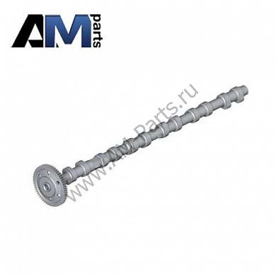 Распредвал впускных клапанов 11317791579 на BMW X6 (E71) 30dX M57N2