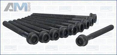 Комплект болтов головки блока AJUSA (81054400) для Volkswagen Tiguan II 2.0TFSI (220 л.с.)