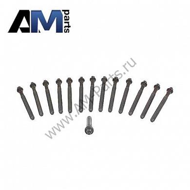 Комплект болтов ГБЦ VICTOR REINZ для BMW (E60) 525i-525iX 14-32315-01